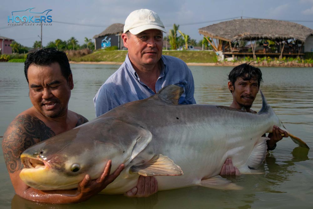 mekong giant catfish habitat