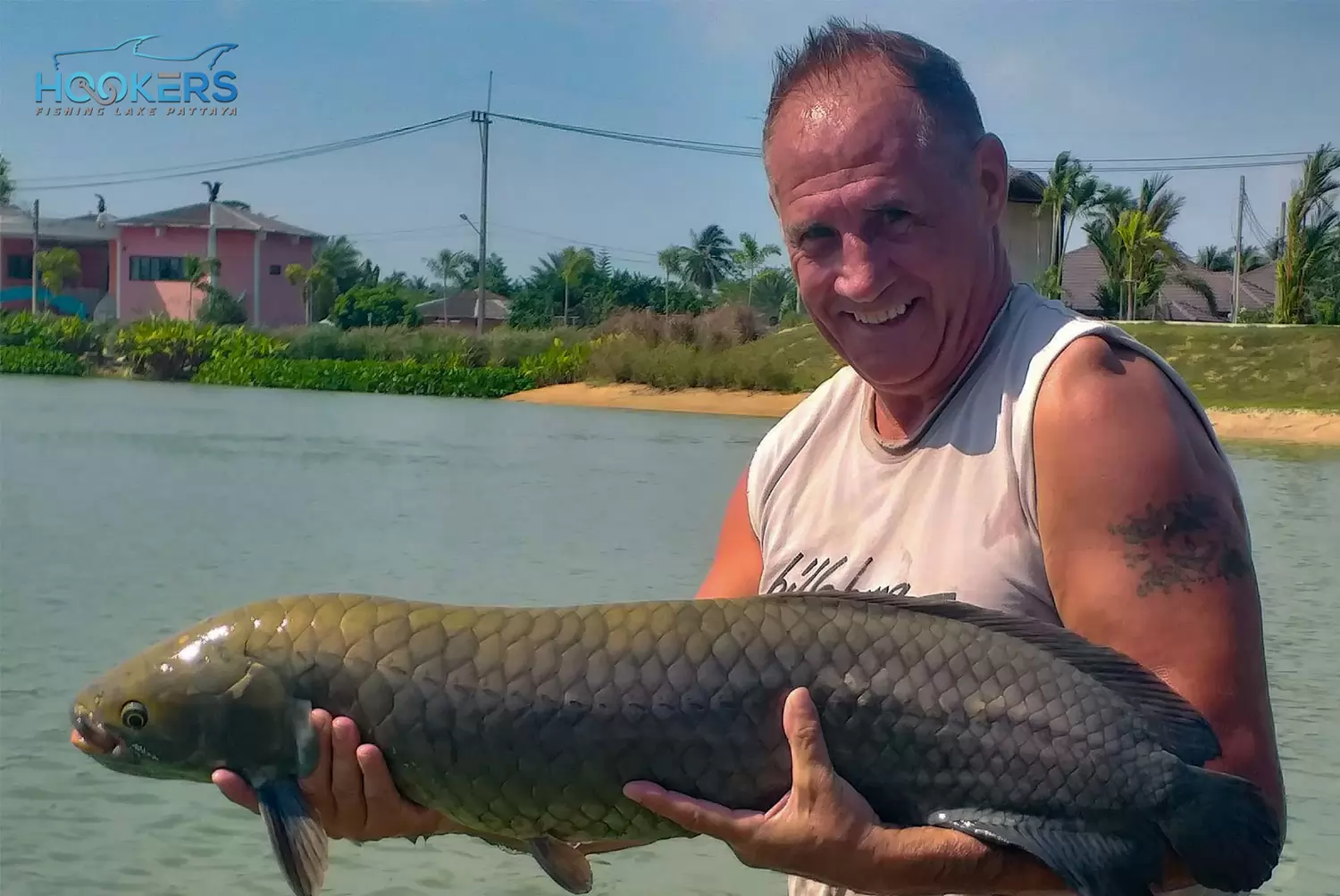 African Arowana 3