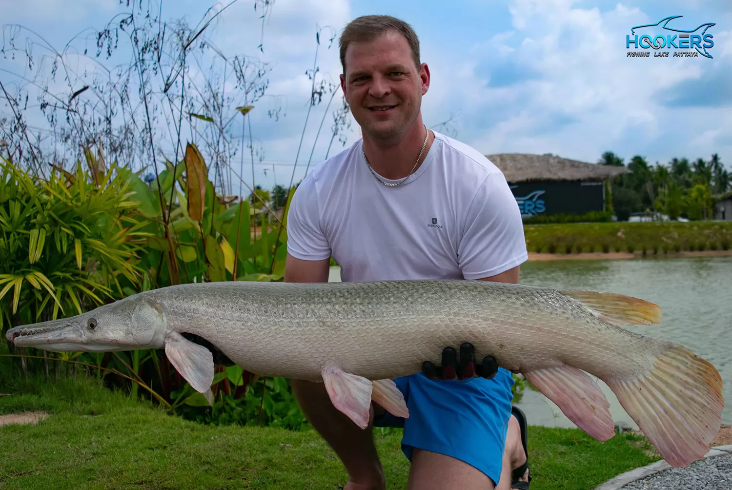 Alligator Gar 1 1