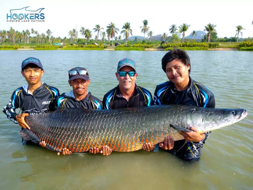 Arapaima1 1